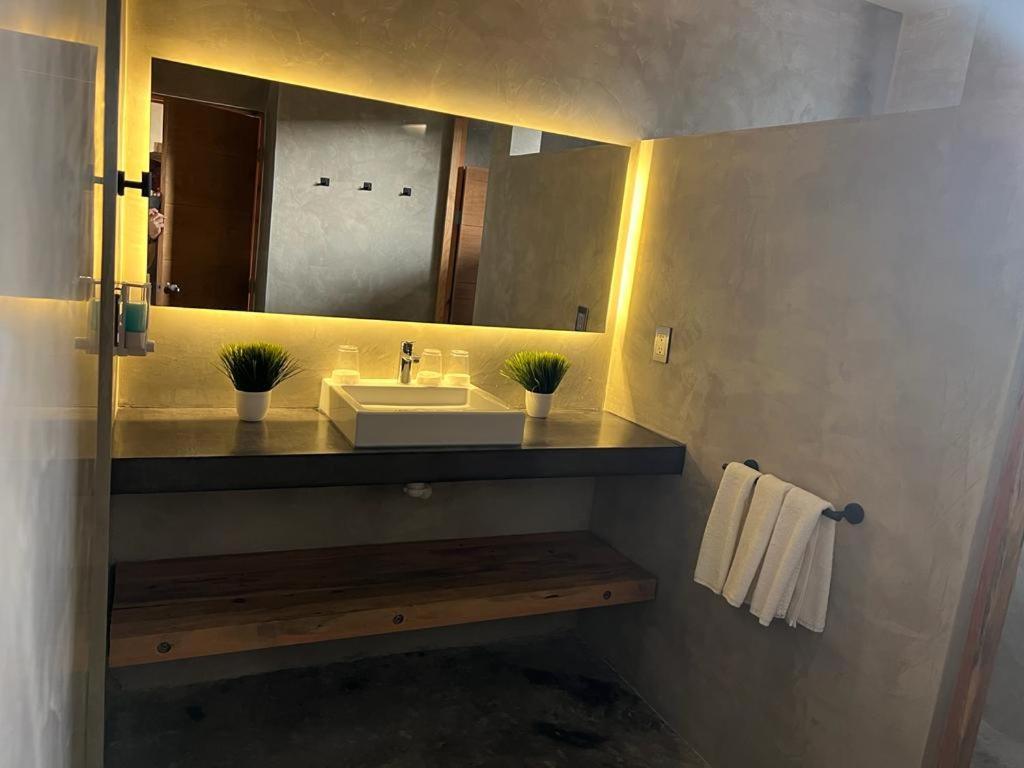 Villa Quetzal プレヤデルカーメン エクステリア 写真