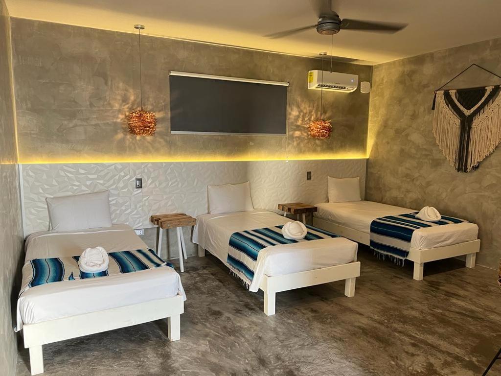 Villa Quetzal プレヤデルカーメン エクステリア 写真